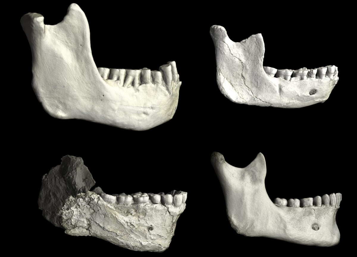 Марокканские находки меняют представления о предках Homo sapiens